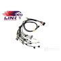 Rywire Honda B-Series (w/Link G4 ECU) Eng Harn w/OBD1 Alt/EV1 Inj/AEM IAT & MAP (Adapter Req)