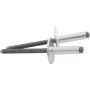 ALLSTAR PERFORMANCE ALL18147 Lg Hd Rivet Silver 250pk