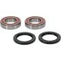 Pivot Works 25-1321-P Polaris Wheel Bearing Kit Premium Bearings