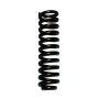 Skyjacker 136 6IN. COILS 82-97 RAN/83-90BR2