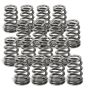 Supertech SPR-A2416-BE2-16 Audi 2.5T FSI Beehive Valve Springs - Set of 16