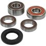 Pivot Works 25-1383-P Pw Premium Wheel Bearing