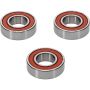 Pivot Works 25-1348-P Husqvarna, KTM Wheel Bearing Kit Premium Bearings