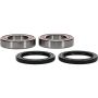 Pivot Works 25-1331-P Wheel Bearing Kit