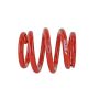 Skunk2 Universal Race Spring (Elliptical) - 6 in.L - 2.5 in.ID - 14kg/mm (0600.250.014E)