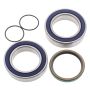 All Balls Racing 14-1035 08-09 Ski-Doo MX Z 500 SS Trail Drive Shaft Bearing & Seal Kit Lower Shaft - Track