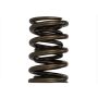 Ford Racing M-6513-17341 TVS-1734 Valve Spring (1)