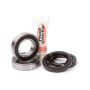 Pivot Works PWRWK-H61-000 Eton RXL 40 VIPER JR (EURO) PW Rear Wheel Bearing Kit