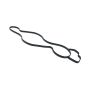 Mopar 68165890AA GASKET, Water Pump