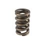 PAC RACING SPRINGS PACPAC-1201-1 1.260 Single Valve Spring w/Damper (1pk)