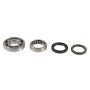 Athena P400210444095 04-17 Honda CRF 250 R Main Bearing & Seal Kit
