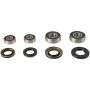 Pivot Works PWFWK-P06-000 2005 Polaris Phoenix 200 PW Front Wheel Bearing Kit