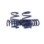 Ford Racing M-5300-S65T 2024-2025 Mustang 5.0L Track Lowering Spring Kit