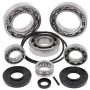 All Balls Racing 25-2095 08-13 Kawasaki Teryx 750 4x4 Differential Bearing & Seal Kit Rear