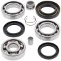 All Balls Racing 25-2011 86-87 Honda TRX350 Differential Bearing & Seal Kit Rear