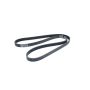 Mopar Performance 5184647ab Mopar Belt