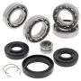 All Balls Racing 25-2078 12-13 Honda TRX500FE Differential Bearing & Seal Kit Front