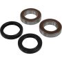 Pivot Works 25-1570-P Aprilia Wheel Bearing Kit Premium Bearings