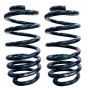 Ridetech 11334799 Rear dual rate springs, 4