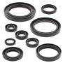 Vertex Pistons 822315 Vertex Gaskets 05-17 Honda CRF450X Oil Seal Kit