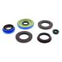 QuadBoss 564238 2014 Polaris Ranger 900 Diesel HST/Deluxe Oil Seal Set