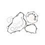 Cometic Gasket C7947BE Cometic 03-05 Yamaha YZ450F Bottom End Gasket Kit
