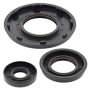 Vertex Pistons 55214 Vertex Gaskets 2006 Polaris 700 Classic EFI Oil Seal Kit