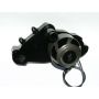 MEZIERE MEZWP319S SBC LS1 Billet Electric W/P - Black