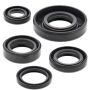 Vertex Pistons 822222 Vertex Gaskets 06-08 KTM SX 50 Oil Seal Kit
