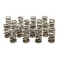 PAC RACING SPRINGS PACPAC-1355H-16 1.500 Dual Valve Springs - (16)