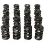 PAC RACING SPRINGS PACPAC-1248-16 1.645 Triple Valve Springs - (16)
