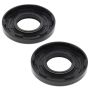 Vertex Pistons 55109 Vertex Gaskets 99-08 Arctic Cat Panther 370 Oil Seal Kit