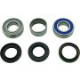 All Balls Racing 14-1084 16-18 Ski-Doo Expedition Sport 600 ACE Jack Shaft Bearing & Seal Kit Upper Shaft