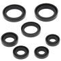 Vertex Pistons 822236 Vertex Gaskets 00-06 Honda TRX350FE Oil Seal Kit