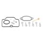 All Balls Racing 26-1518 22-23 Gas-Gas MC85 1714 Carburetor Rebuild Kit