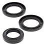 All Balls Racing 24-2041 1993 Polaris 350L 2x4 Crank Shaft Seal Only Kit