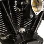 S&S Cycle 930-0143 99-17 BT Models Quickee Pushrods w/ Gloss Black Covers