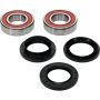 Pivot Works 25-1542-P Wheel Bearing Kit