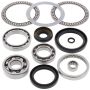 All Balls Racing 25-2066 03-13 Kawasaki KVF360A Prairie 4x4 Differential Bearing & Seal Kit Front