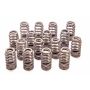 Ford Racing M-6513-M50BR Boss 302R Valve Spring Kit