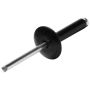 ALLSTAR PERFORMANCE ALL18033 Lg Hd Rivet Black 200pk