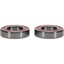 Pivot Works 25-1627-P Wheel Bearing Kit
