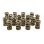 PAC RACING SPRINGS PACPAC-1227-16 1.539 Dual Valve Springs - (16)