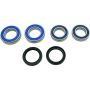 All Balls Racing 25-1809 15-16 Ducati Monster 821 Wheel Bearing Kit Rear