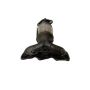 FORTLUFT 4401790 Driver Side EPA (Federal) Direct-Fit Catalytic Converter for 11-17 Hyundai Azera, 14-16 Kia Cadenza, 15-18 Sedona