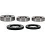 Pivot Works 25-1039-P Wheel Bearing Kit