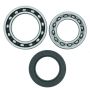 QuadBoss 413276 89-91 Yamaha YFM250 Moto-4 Rear ATV Wheel Bearing & Seal Kit