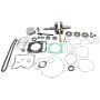 Vertex Pistons WR00064 Vertex Complete Engine Rebuild Kit