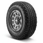 NEXEN Roadian ATX R17