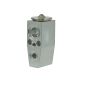 Global Parts Distributors LLC 3411498 gpd Expansion Valve 3411498